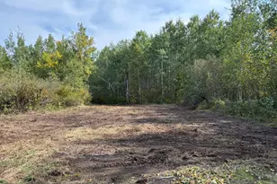 Tbd 120th Pl, Tamarack, MN 55787 - Photo 1