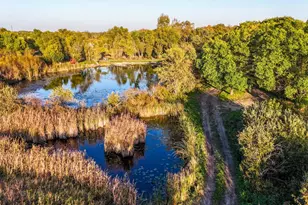 35515 State Hwy 87, Frazee, MN 56544 - Photo 48