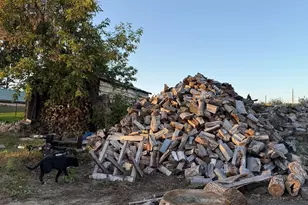 35515 State Hwy 87, Frazee, MN 56544 - Photo 28