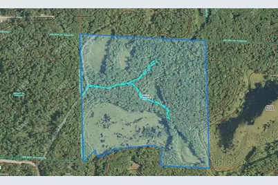 Tbd Red Oak Drive, Garrison, MN 56450 - Photo 10