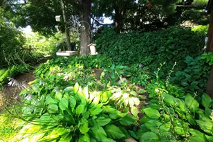 95 Colorado Street W, Saint Paul, MN 55107 - Photo 84