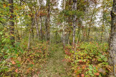 851 E Blueberry River Drive, Menahga, MN 56464 - Photo 50