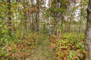 851 E Blueberry River Dr, Menahga, MN 56464 - Photo 50