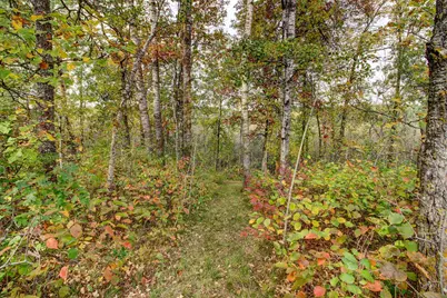 851 E Blueberry River Drive, Menahga, MN 56464 - Photo 50