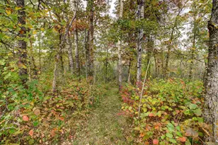 851 E Blueberry River Dr, Menahga, MN 56464 - Photo 50