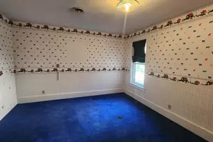 919 3rd Ave SW, Pipestone, MN 56164 - Photo 38