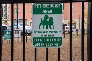 401 S 1st St, Minneapolis, MN 55401 - Photo 42