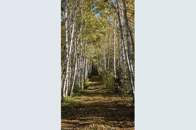 4136 W General Grade Road, Finland, MN 55603 - Photo 2