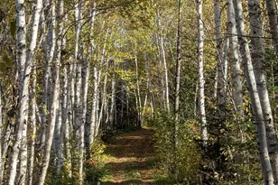 4136 W General Grade Rd, Finland, MN 55603 - Photo 2