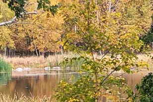 25864 11th St W, Zimmerman, MN 55398 - Photo 1