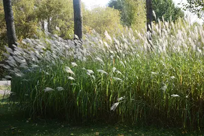 18870 Garnet Street NW, Nowthen, MN 55303 - Photo 42