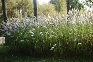 18870 Garnet St NW, Nowthen, MN 55303 - Photo 42