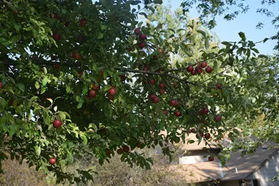 18870 Garnet Street NW, Nowthen, MN 55303 - Photo 50