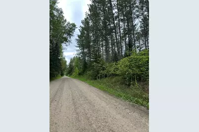 Tbd 160 Acres Dentaybow, Littlefork, MN 56653 - Photo 1