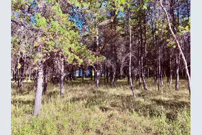 541 Wilderness Avenue, Williams, MN 56686 - Photo 24