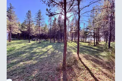 541 Wilderness Avenue, Williams, MN 56686 - Photo 26