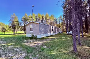 541 Wilderness Ave, Williams, MN 56686 - Photo 6