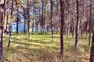 541 Wilderness Ave, Williams, MN 56686 - Photo 32