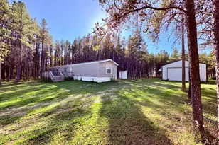 541 Wilderness Ave, Williams, MN 56686 - Photo 1