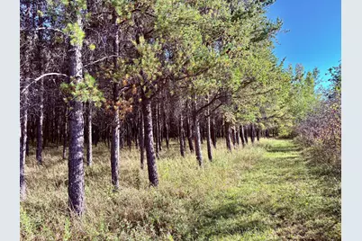 541 Wilderness Avenue, Williams, MN 56686 - Photo 22