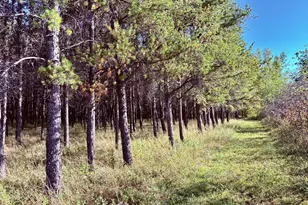 541 Wilderness Ave, Williams, MN 56686 - Photo 22