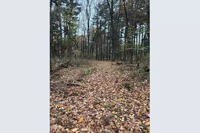 38Xxx Jivaro Street NW, Dalbo, MN 55017 - Photo 1