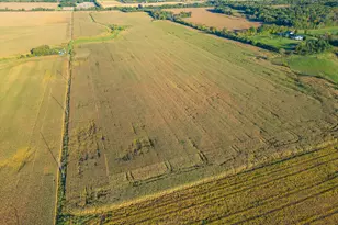 1/2 Pine St, Turtle Lake, WI 54889 - Photo 1