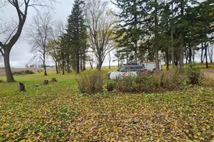 75863 305 St, Racine Twp, MN 55967 - Photo 60