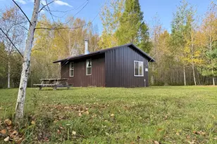 Tbd S 80 Town Rd 6, Northome, MN 56661 - Photo 1