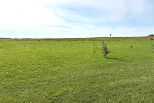 21136 State Hwy 89, Grimstad Twp, MN 56751 - Photo 38