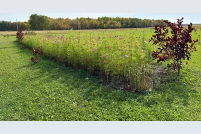 21136 State Highway 89, Grimstad Twp, MN 56751 - Photo 36