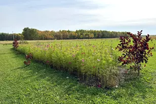 21136 State Hwy 89, Grimstad Twp, MN 56751 - Photo 36