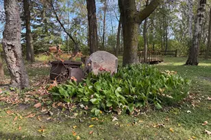 21136 State Hwy 89, Grimstad Twp, MN 56751 - Photo 28