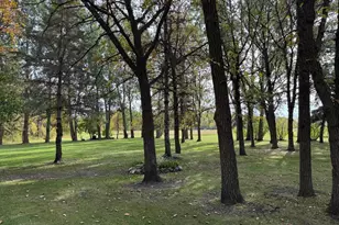 21136 State Hwy 89, Grimstad Twp, MN 56751 - Photo 30