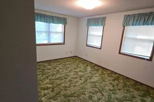 641 Pleasant St, Dassel, MN 55325 - Photo 12