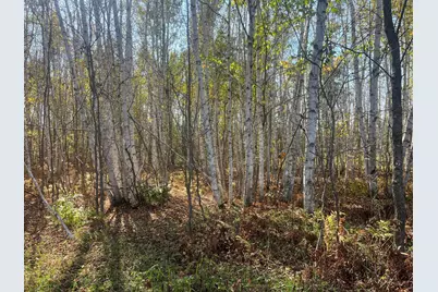 00000 County Hwy 61, Hinckley, MN 55037 - Photo 8