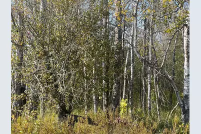 00000 County Hwy 61, Hinckley, MN 55037 - Photo 22