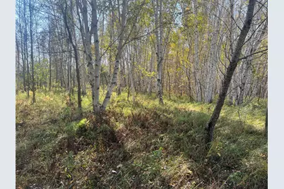 00000 County Hwy 61, Hinckley, MN 55037 - Photo 4