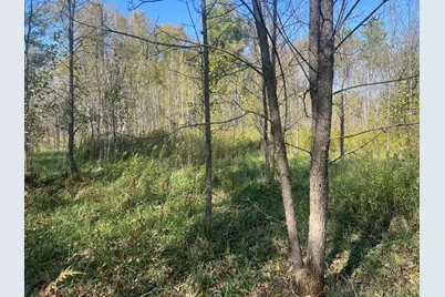 00000 County Hwy 61, Hinckley, MN 55037 - Photo 10
