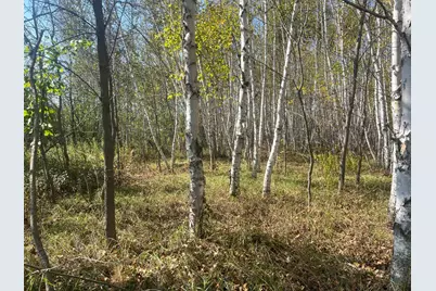 00000 County Hwy 61, Hinckley, MN 55037 - Photo 2