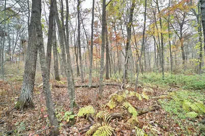 1022 Rock Elm Trail NW, Pine River, MN 56474 - Photo 6