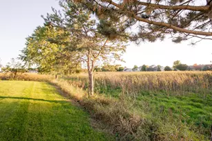 5667 Lambert Ave NE, Albertville, MN 55301 - Photo 6