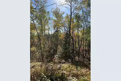 Lot 7 Wilderness Way, Cook, MN 55723 - Photo 4