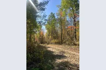 Lot 7 Wilderness Way, Cook, MN 55723 - Photo 2