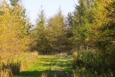 Parcel #3 Tbd County 9, Becida, MN 56678 - Photo 28