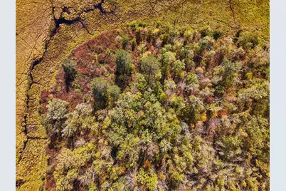 Parcel #3 Tbd County 9, Becida, MN 56678 - Photo 8