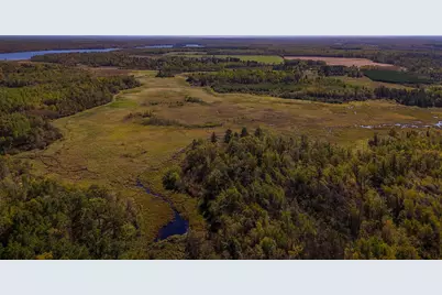 Parcel #3 Tbd County 9, Becida, MN 56678 - Photo 10