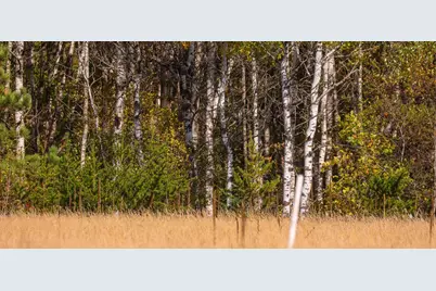 Parcel #3 Tbd County 9, Becida, MN 56678 - Photo 32