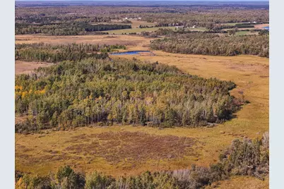 Parcel #3 Tbd County 9, Becida, MN 56678 - Photo 18