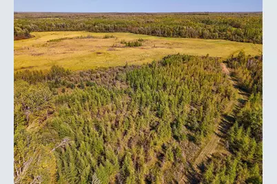 Parcel #3 Tbd County 9, Becida, MN 56678 - Photo 6